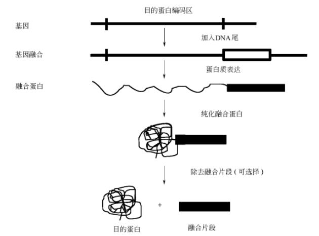 1661240495642120.png 微信截圖_20220823154048.png